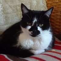 Smudge